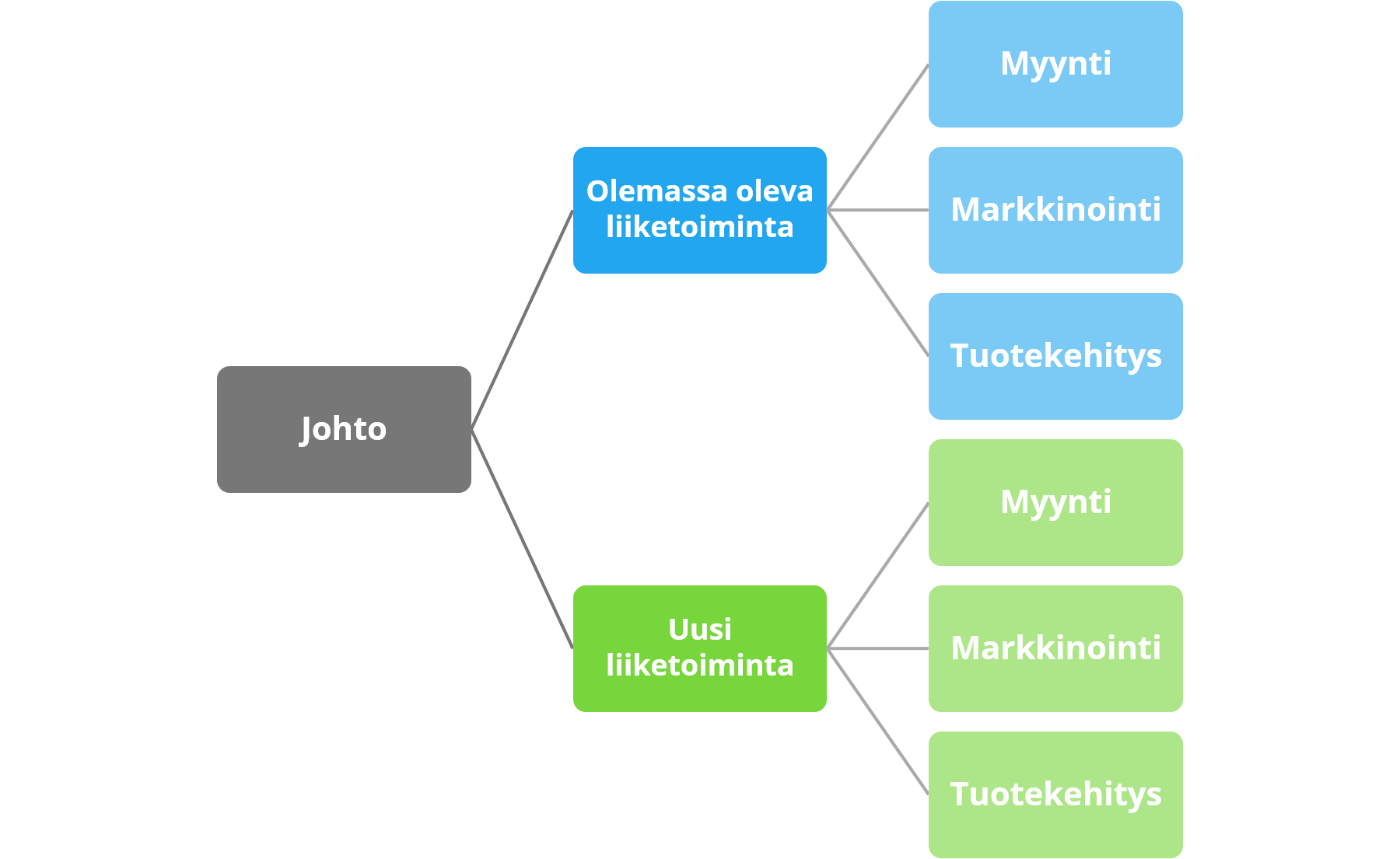 Kaksikätinen organisaatio